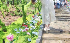 亚洲A片无码成人精品区